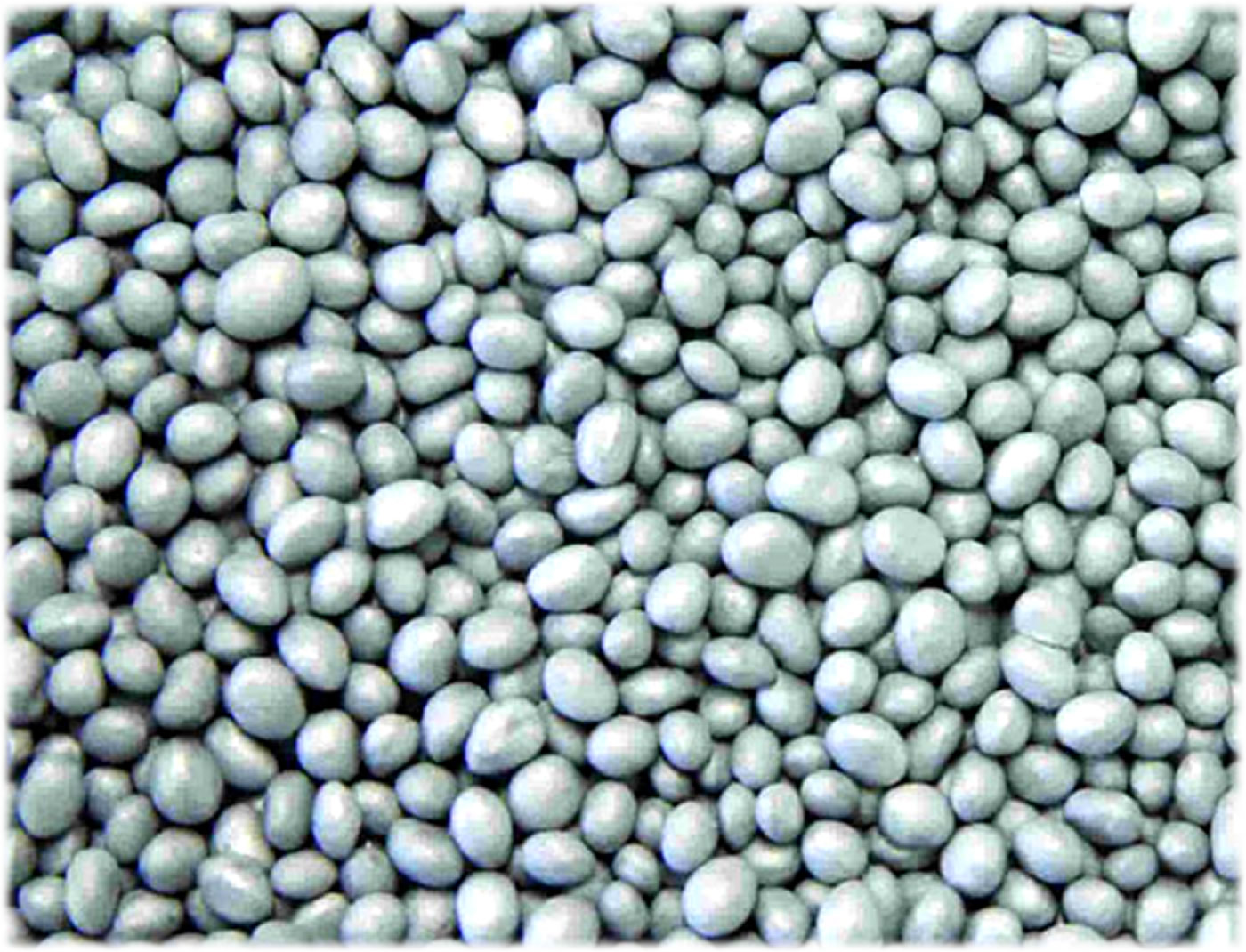 instalación de perlas de neopor material de aislante termico